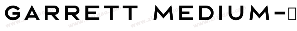 Garrett Medium字体转换